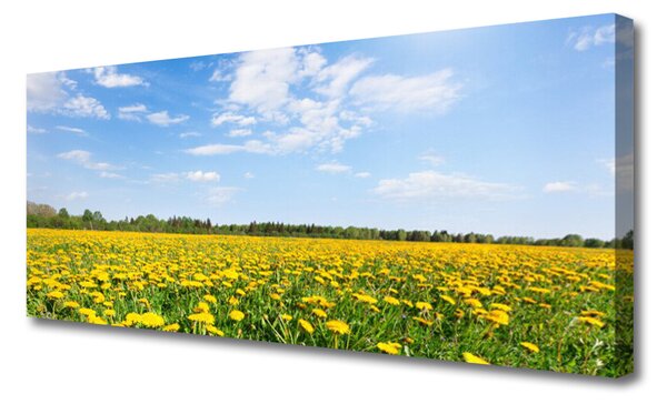 Tablou pe panza canvas Păpădie Meadow Peisaj Galben Albastru