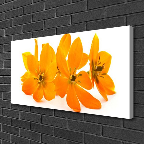 Tablou pe panza canvas Flori Floral Orange