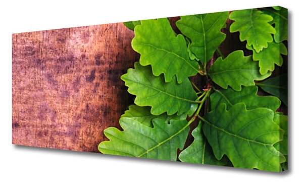 Tablou pe panza canvas Frunze de stejar verde florale