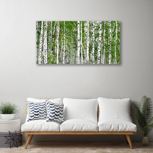 Tablou pe panza canvas Birch Forest Copaci Natura Verde Alb