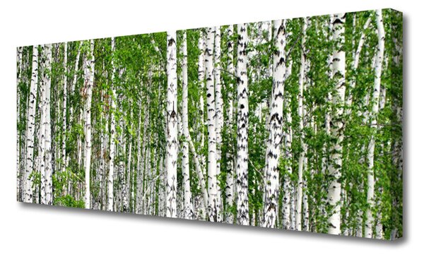 Tablou pe panza canvas Birch Forest Copaci Natura Verde Alb