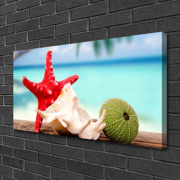 Tablou pe panza canvas Seashell Cochilii Art Roșu Verde Albastru