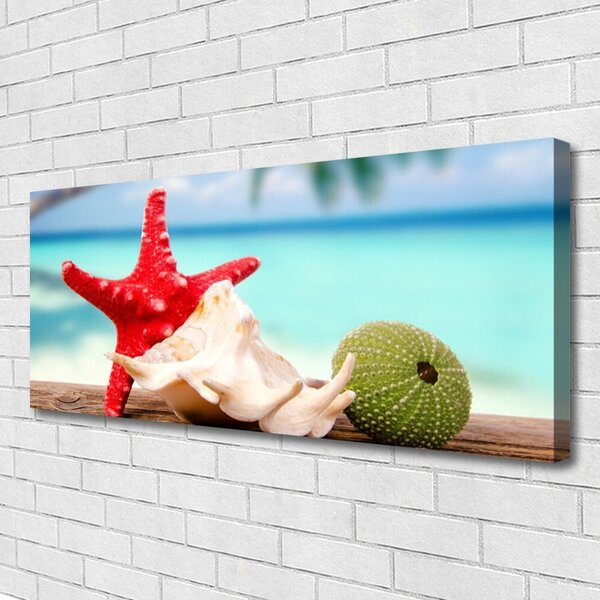Tablou pe panza canvas Seashell Cochilii Art Roșu Verde Albastru