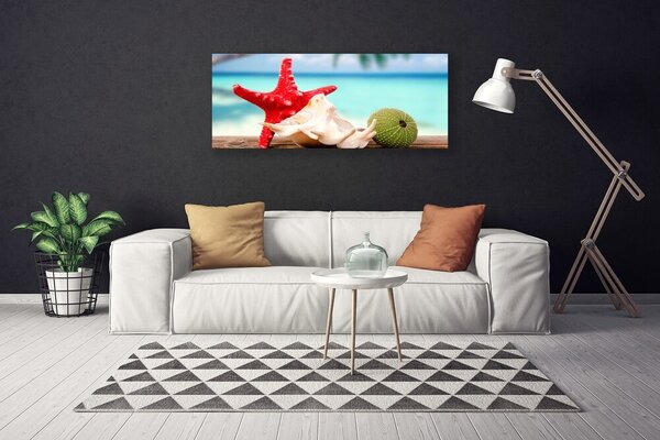 Tablou pe panza canvas Seashell Cochilii Art Roșu Verde Albastru