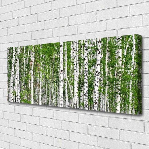 Tablou pe panza canvas Birch Forest Copaci Natura Verde Alb