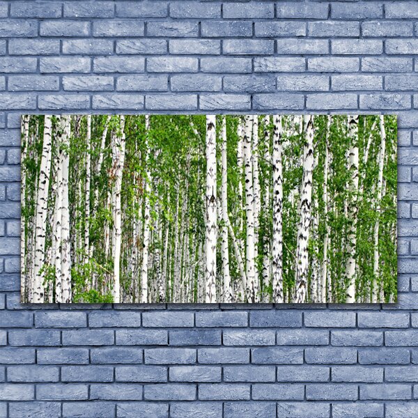 Tablou pe sticla Birch Forest Copaci Natura Verde Alb