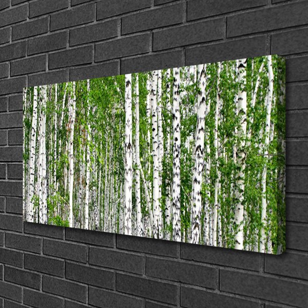 Tablou pe panza canvas Birch Forest Copaci Natura Verde Alb