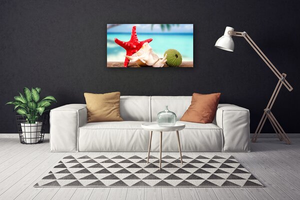 Tablou pe panza canvas Seashell Cochilii Art Roșu Verde Albastru