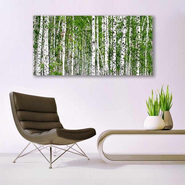Tablou pe sticla Birch Forest Copaci Natura Verde Alb