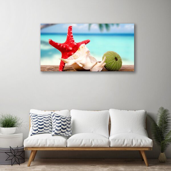 Tablou pe panza canvas Seashell Cochilii Art Roșu Verde Albastru