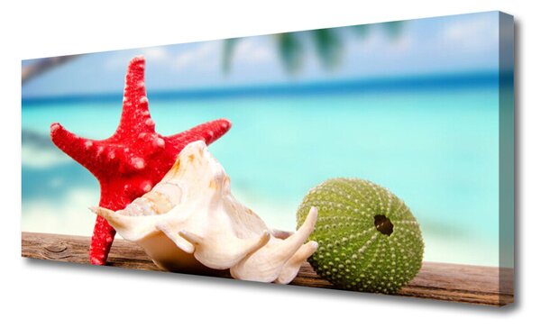 Tablou pe panza canvas Seashell Cochilii Art Roșu Verde Albastru