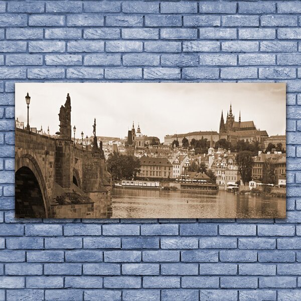 Tablou pe sticla Praga Podul Peisaj Sepia
