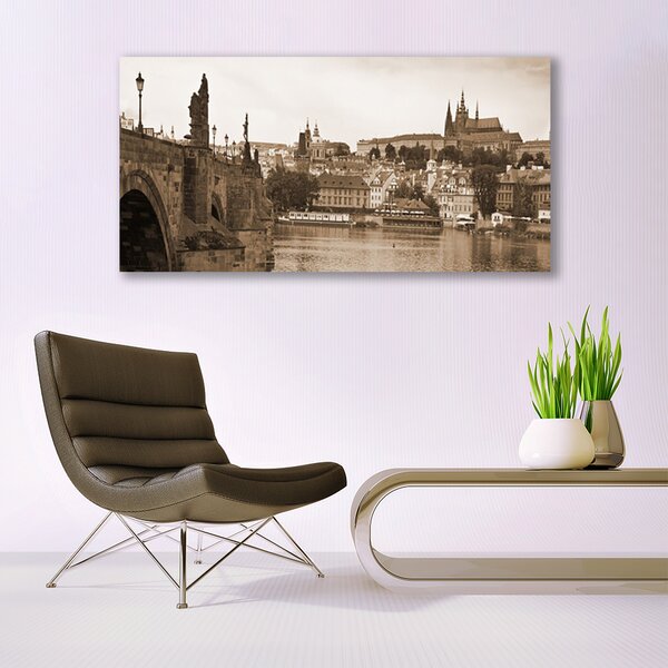 Tablou pe sticla Praga Podul Peisaj Sepia