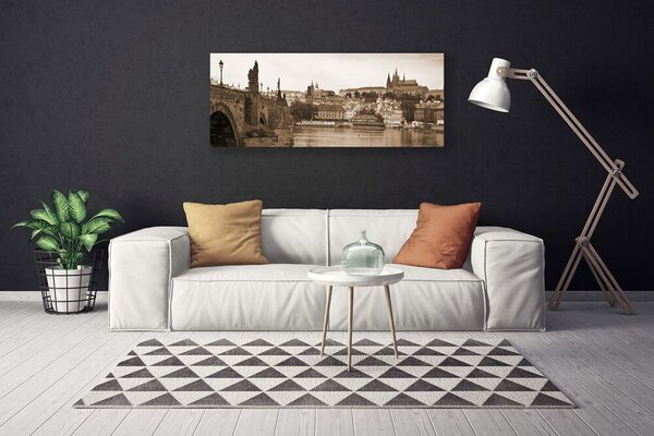Tablou pe panza canvas Praga Podul Peisaj Sepia