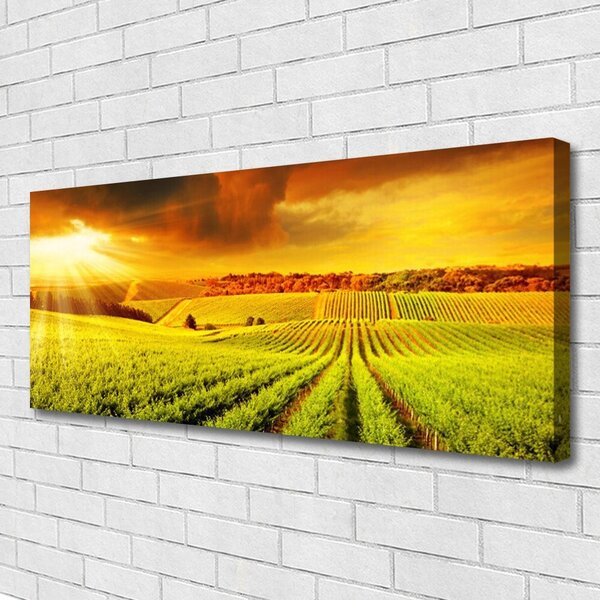Tablou pe panza canvas Câmp Sunset Peisaj Verde Galben