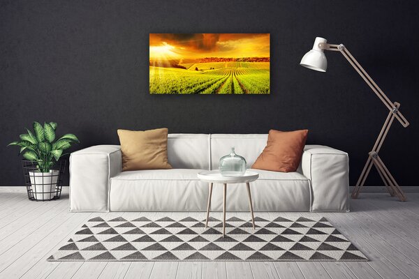 Tablou pe panza canvas Câmp Sunset Peisaj Verde Galben