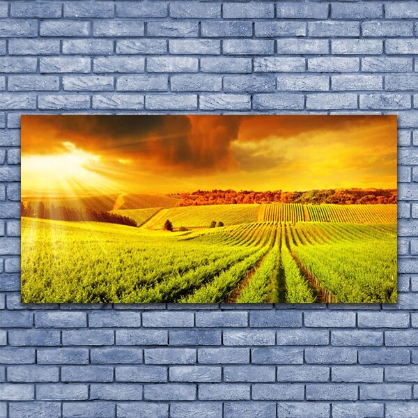 Tablou pe panza canvas Câmp Sunset Peisaj Verde Galben