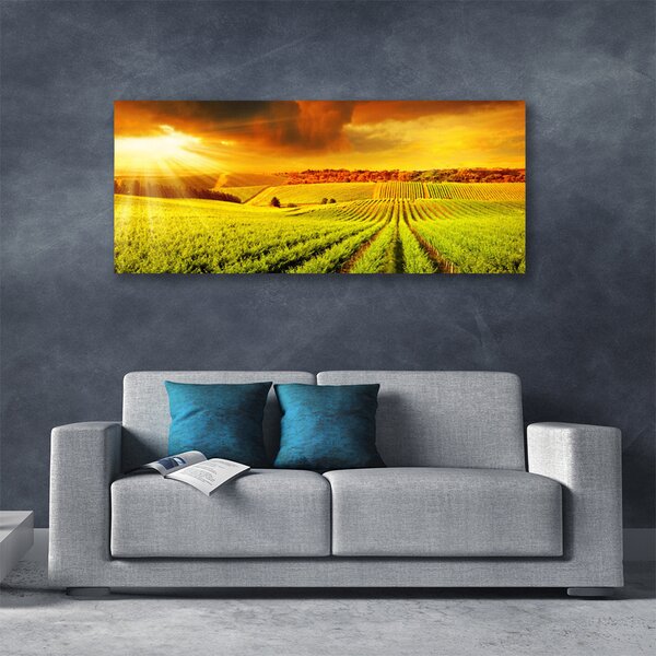 Tablou pe panza canvas Câmp Sunset Peisaj Verde Galben