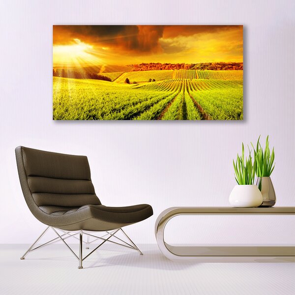 Tablou pe panza canvas Câmp Sunset Peisaj Verde Galben