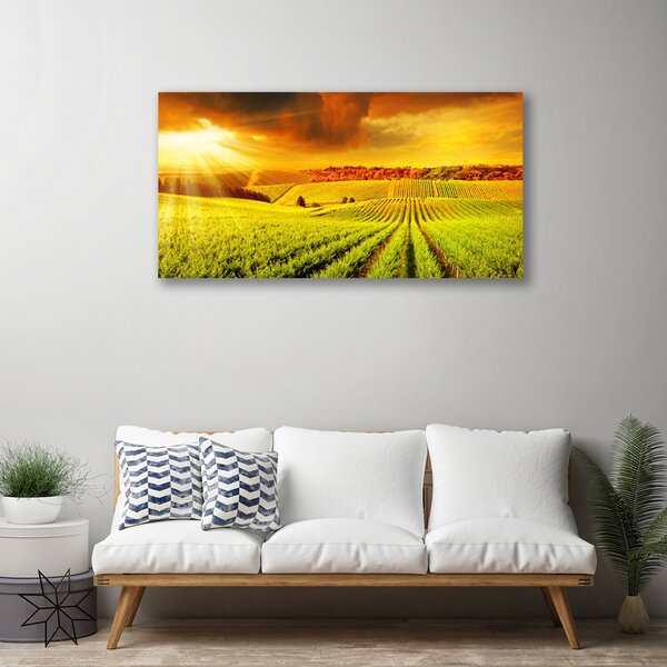 Tablou pe panza canvas Câmp Sunset Peisaj Verde Galben