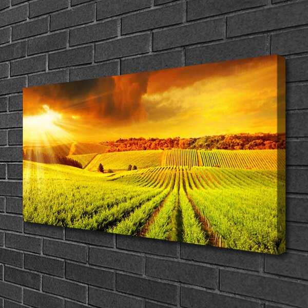 Tablou pe panza canvas Câmp Sunset Peisaj Verde Galben
