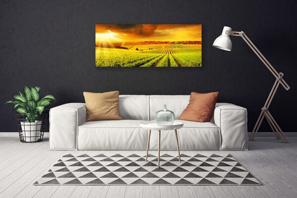 Tablou pe panza canvas Câmp Sunset Peisaj Verde Galben