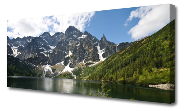 Tablou pe panza canvas Mountain Lake Forest Peisaj Verde Albastru Alb Gri