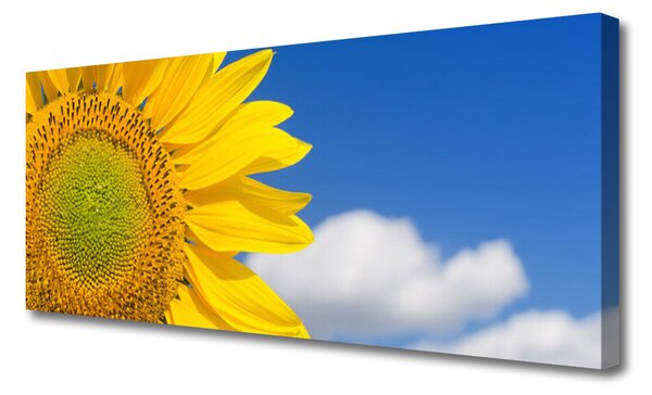 Tablou pe panza canvas Nori de floarea-soarelui Floral aur galben albastru