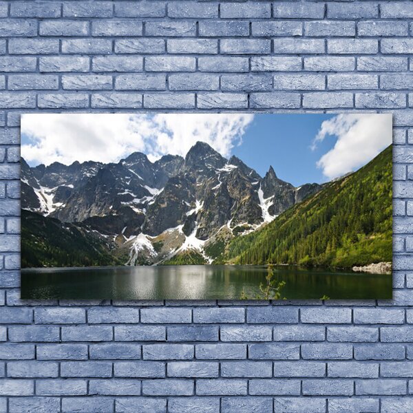 Tablou pe panza canvas Mountain Lake Forest Peisaj Verde Albastru Alb Gri