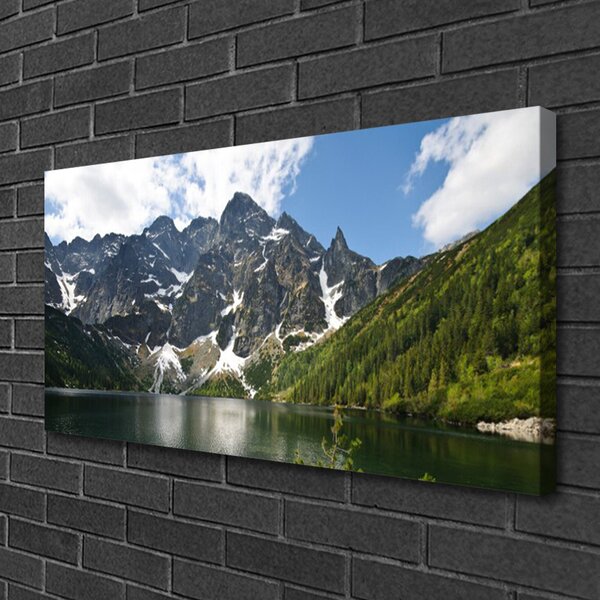 Tablou pe panza canvas Mountain Lake Forest Peisaj Verde Albastru Alb Gri