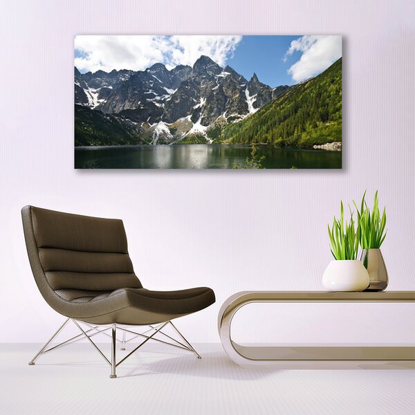 Tablou pe panza canvas Mountain Lake Forest Peisaj Verde Albastru Alb Gri