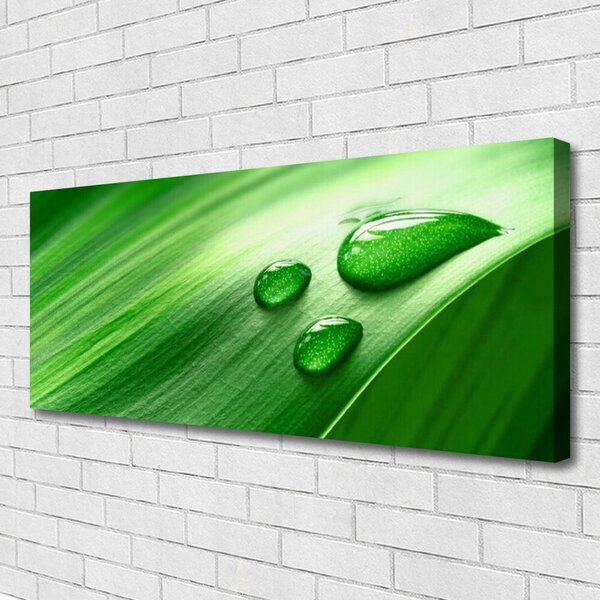 Tablou pe panza canvas Frunze de apă Picături Floral Verde