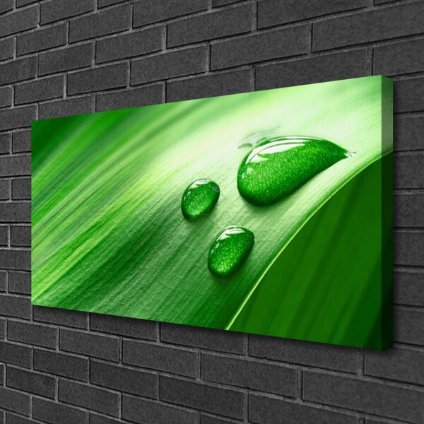 Tablou pe panza canvas Frunze de apă Picături Floral Verde