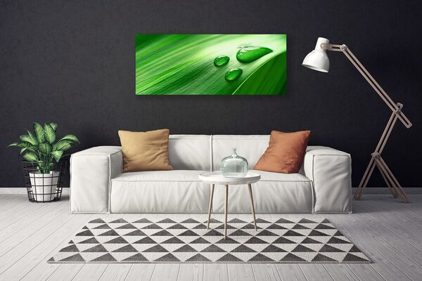 Tablou pe panza canvas Frunze de apă Picături Floral Verde