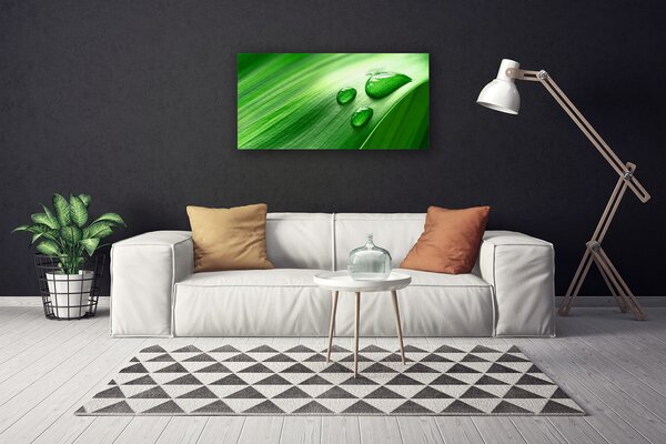 Tablou pe panza canvas Frunze de apă Picături Floral Verde