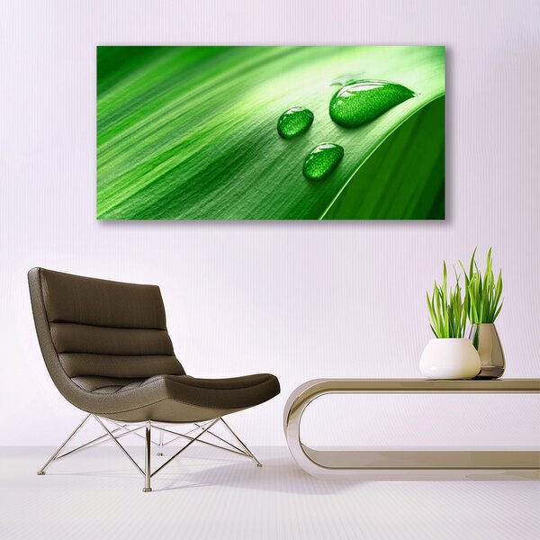 Tablou pe panza canvas Frunze de apă Picături Floral Verde