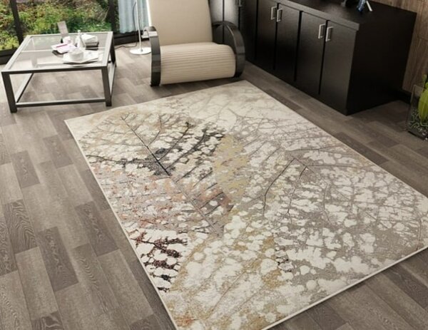 Covor Living Dormitor, Model Anny 33001 160, Bej 118x170
