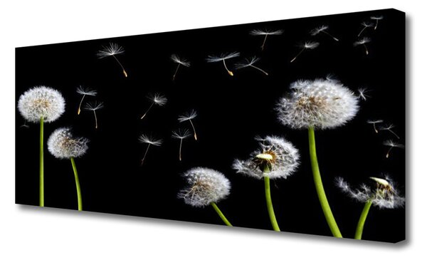 Tablou pe panza canvas Păpădia Floral Negru Verde Alb
