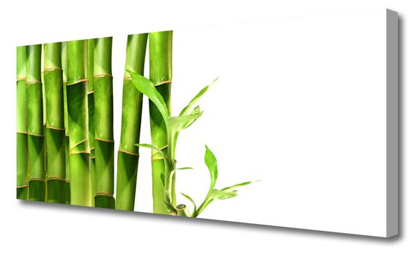 Tablou pe panza canvas Bamboo Floral Verde Alb