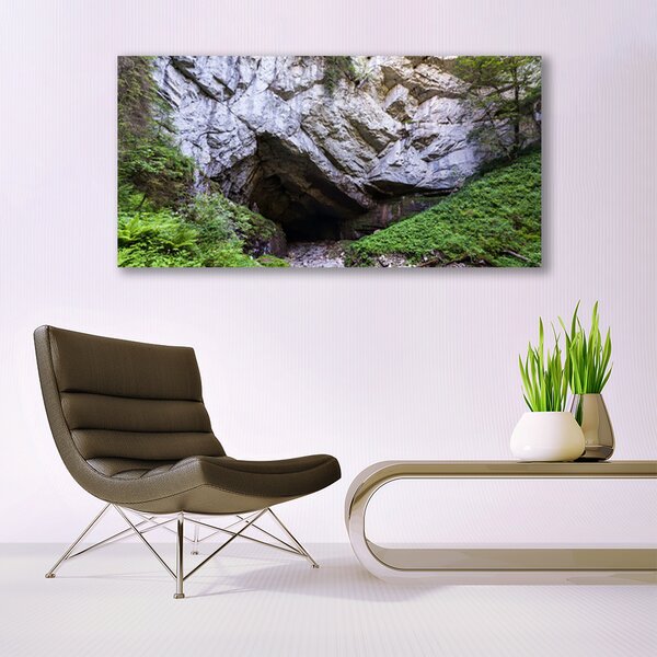 Tablou pe panza canvas Munte Cave Natura Verde Gri
