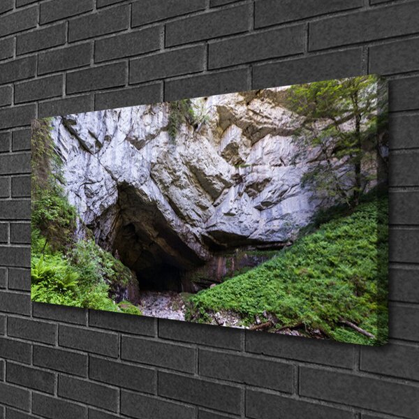 Tablou pe panza canvas Munte Cave Natura Verde Gri