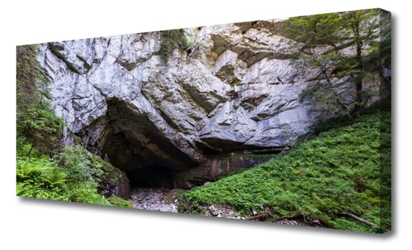 Tablou pe panza canvas Munte Cave Natura Verde Gri