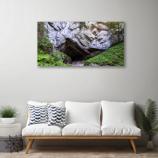 Tablou pe panza canvas Munte Cave Natura Verde Gri