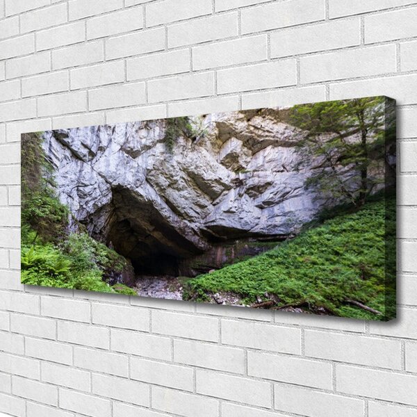 Tablou pe panza canvas Munte Cave Natura Verde Gri