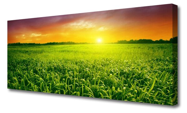 Tablou pe panza canvas Cereale Câmp Sunrise Floral Verde Roșu