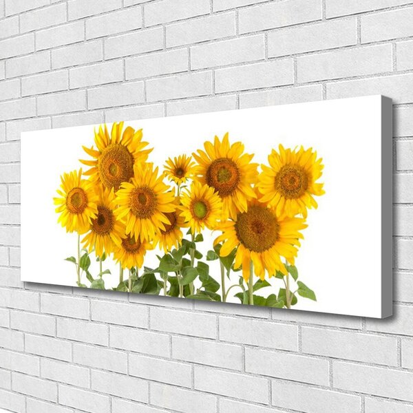 Tablou pe panza canvas Floarea soarelui Floral aur galben verde