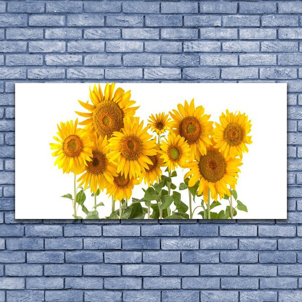 Tablou pe panza canvas Floarea soarelui Floral aur galben verde