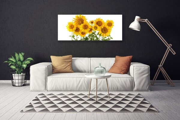 Tablou pe panza canvas Floarea soarelui Floral aur galben verde