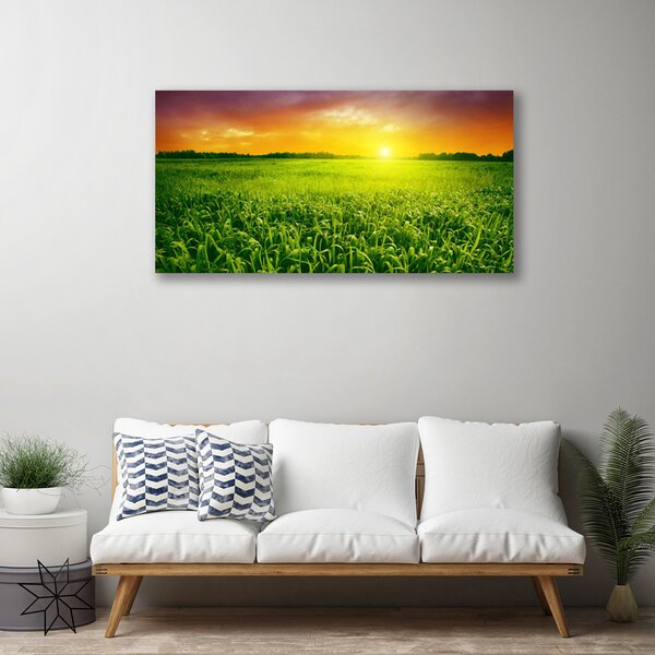 Tablou pe panza canvas Cereale Câmp Sunrise Floral Verde Roșu
