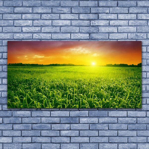 Tablou pe panza canvas Cereale Câmp Sunrise Floral Verde Roșu
